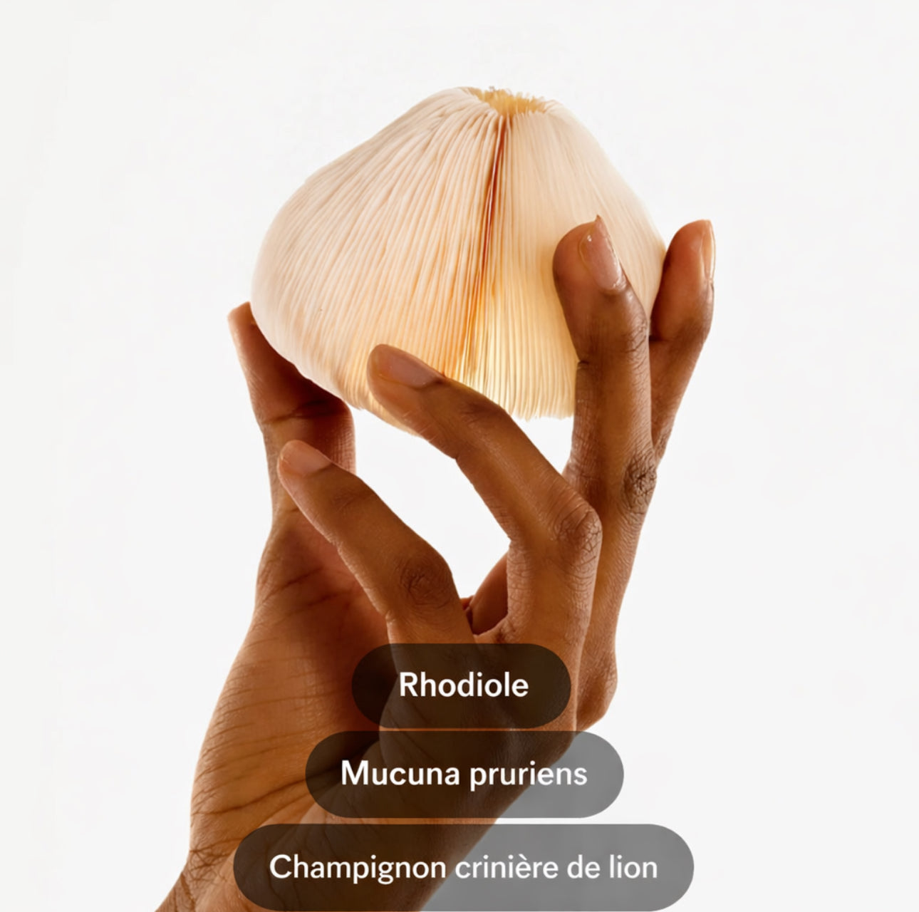 Well Patch - Patchs Dopamine